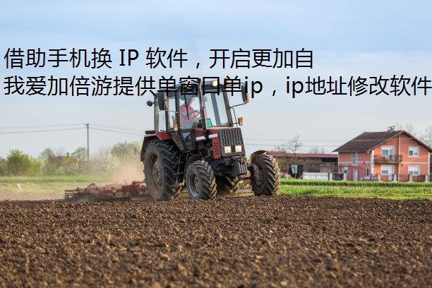 ֻ IP ɡȫ֮