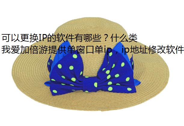 ԸIPЩʲô͵ĻIPֵñѡ