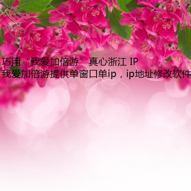 áҰӱΡ㽭 IP л֮:ڵ IP̬뾲̬ IIPַP 
