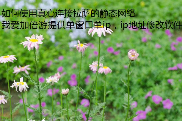 ʹľ̬磿
