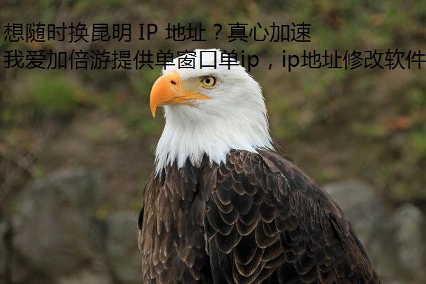 ʱ IP ַļʵ