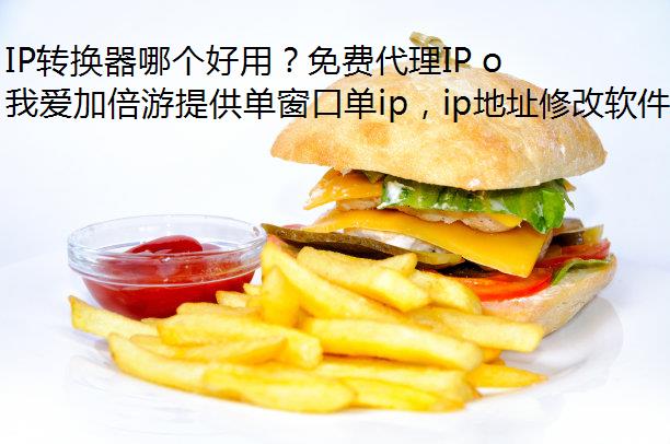 IPתĸãѴIP or ѴIP