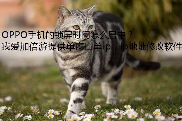 OPPOֻʱôУ
