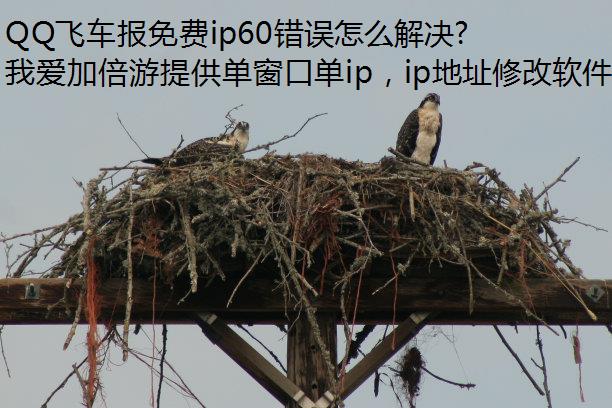 QQɳip60ô?