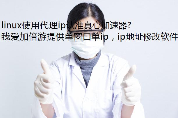 linuxʹôip׼ļʰȫĹڴip