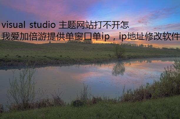 visual studio վ򲻿ô죿