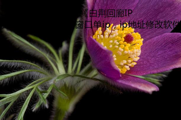 ,زԡ,׾IP޸ʲô?