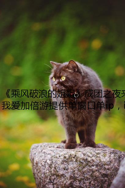 ˷˵Ľ㡷֮ҹϮڶ
