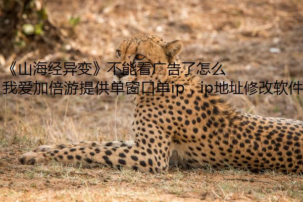 ɽ䡷ܿô죿