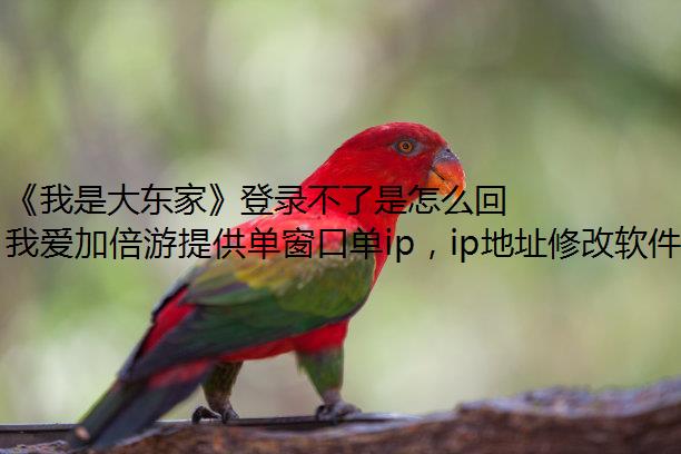 Ǵ󶫼ҡ¼ô£