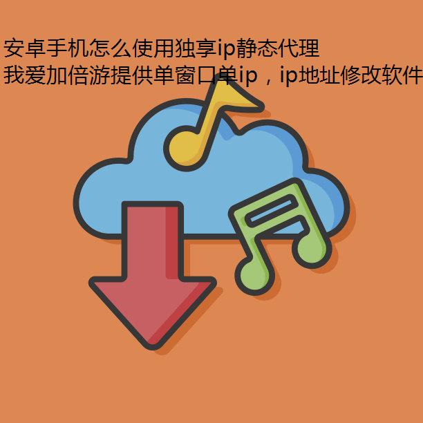 ׿ֻôʹöip̬ip?