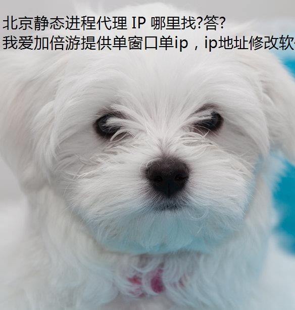 ̴̬ IP ?𰸾!