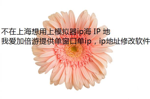 Ϻģip IP ַ?ļIPʵ