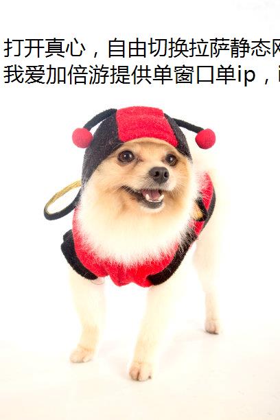 ģл̬磡