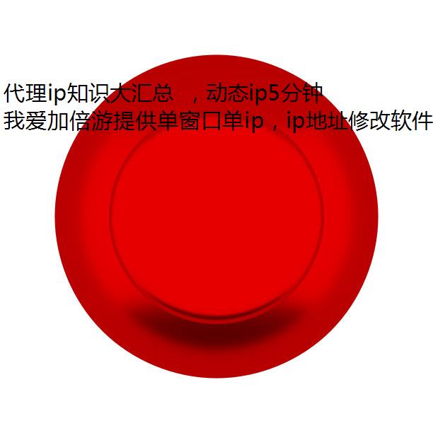 ip֪ʶ ̬ip5ӴʲôǴip