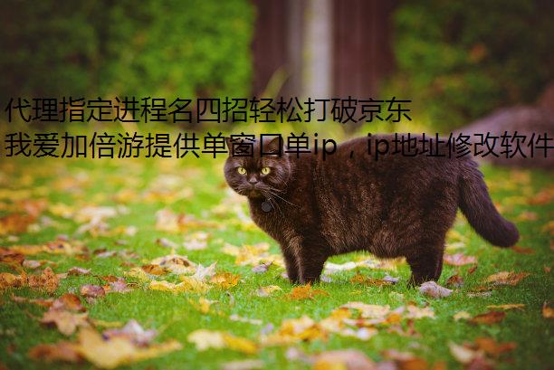ָɴƾֱ״