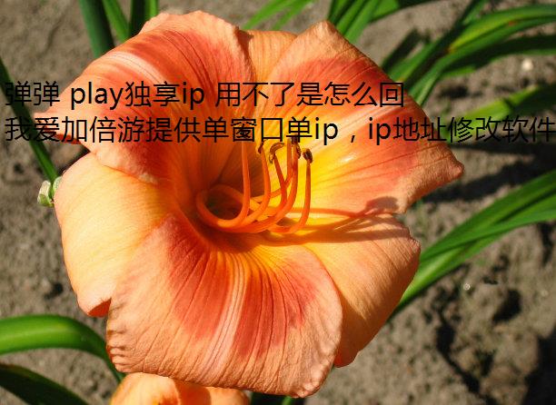  playip òô?