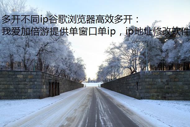 ࿪ͬipȸЧ࿪IPԶʼҳ
