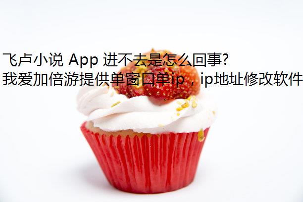 ¬С˵ App ȥô£