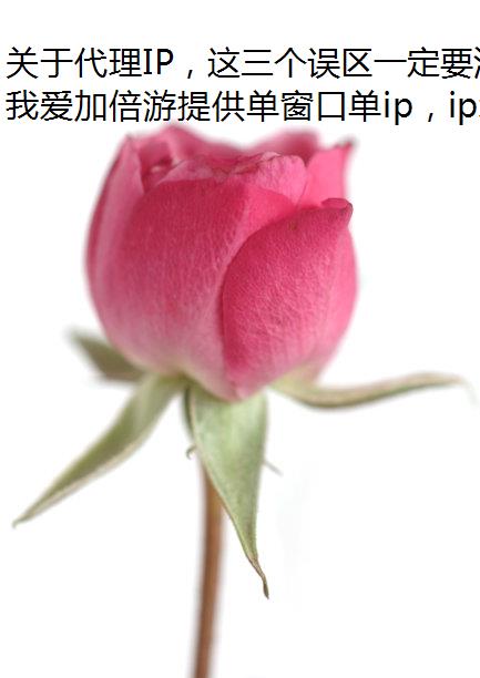 ڴIPһҪע