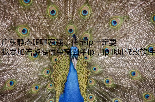 㶫̬IPļǿסլipһҪļ