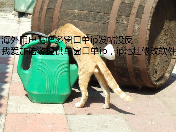 ûɶരڵipûӦ,ô?