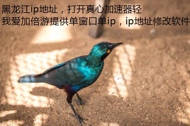 ipַļл