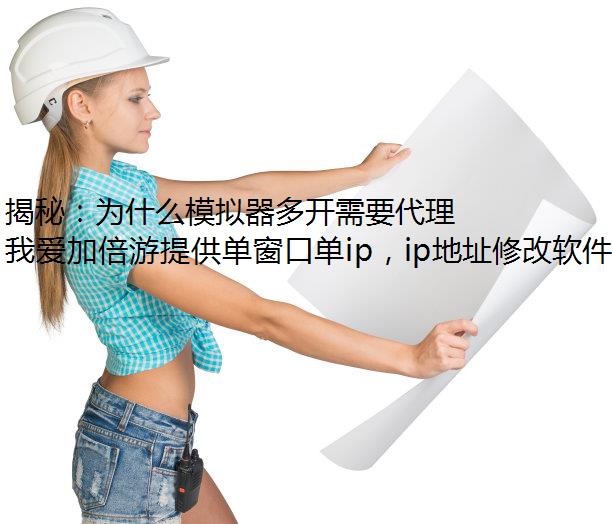 أΪʲôģ࿪ҪIP