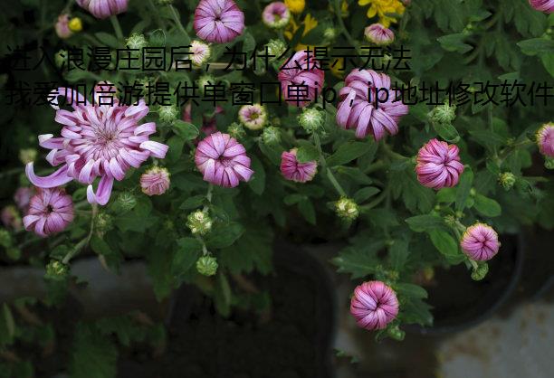 ׯ԰Ϊʲôʾ޷ӷ