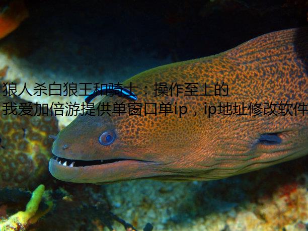 ɱʿϵĸЧ淨ָ