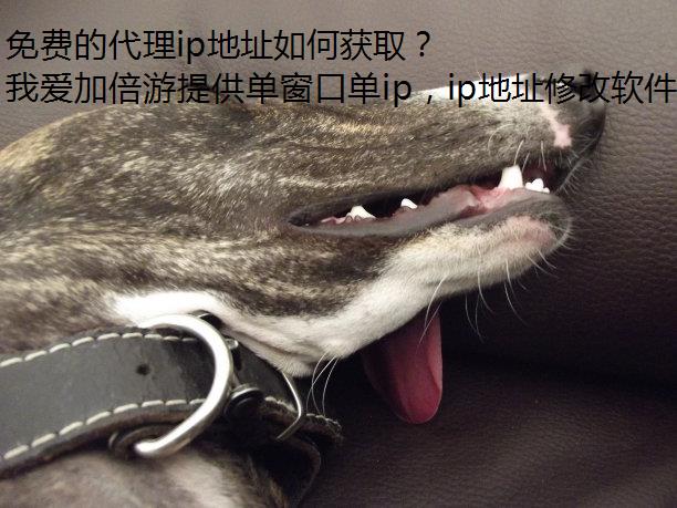 ѵĴipַλȡ