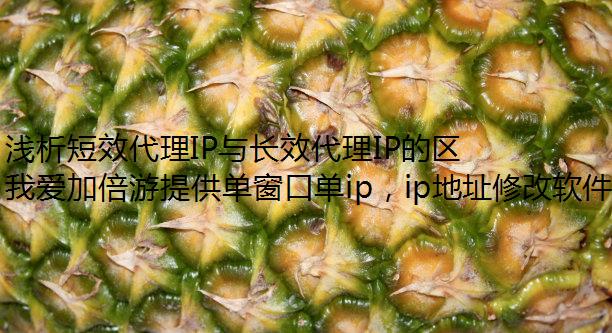 ǳЧIP볤ЧIP࿪ͬip