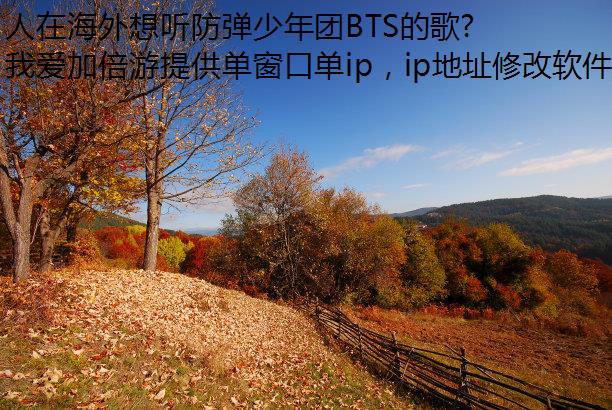 ںBTSĸЩ