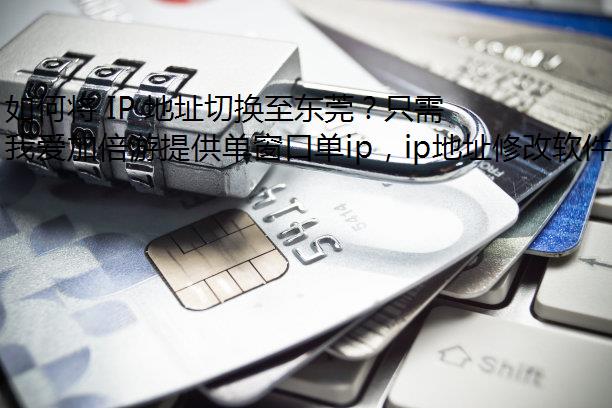 ν IP ַлݸֻļ