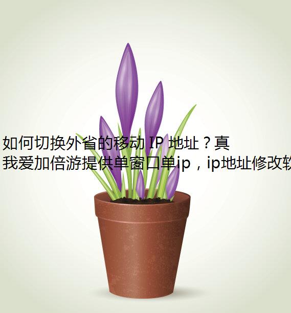 лʡƶ IP ַļʵ֣