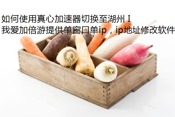 ʹļл IP ַ