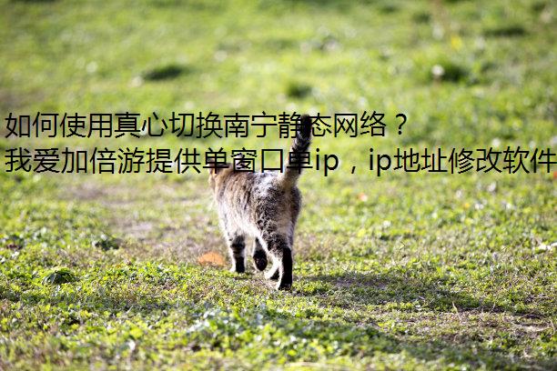 ʹл̬磿