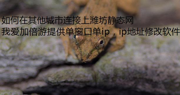 Ϋ̬磿
