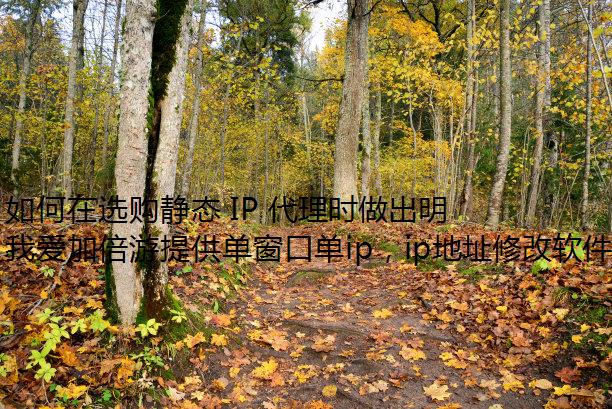 ѡ̬ IP ʱǵľߣ