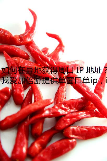 ػܿ IP ַļ