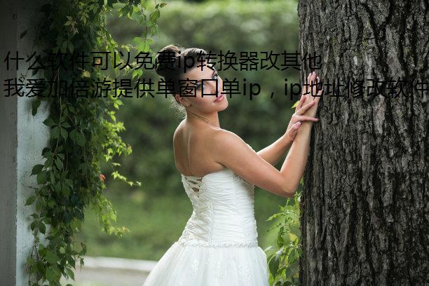 ʲôipת IP ַ?