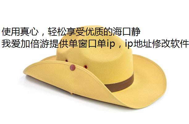 ʹģʵĺھ̬ip