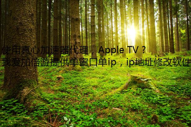 ʹļApple TV Ҳʹ IP ַ