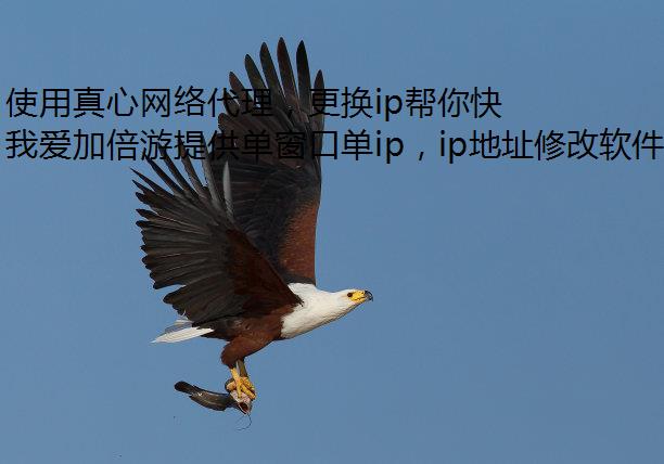 ʹipлγ IP ַ