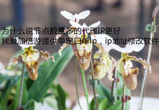 Ϊʲô˵ڵĴIP?