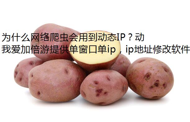 Ϊʲôõ̬IP̬IPʲôã