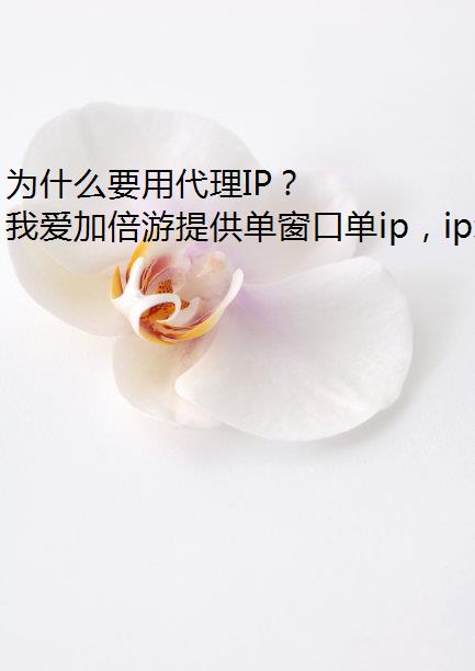 ΪʲôҪôIP