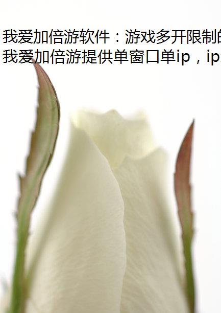 ҰӱϷ࿪Ƶƽ֮