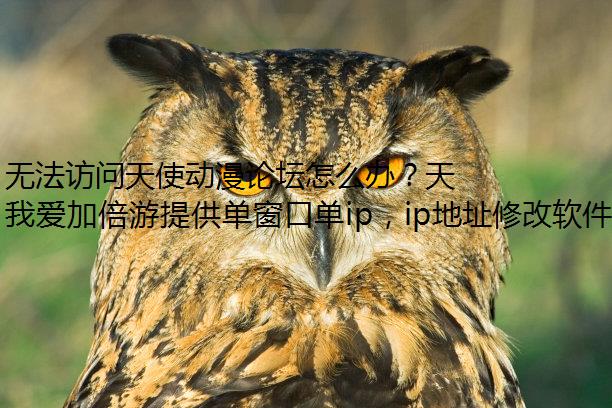 ޷ʹ̳ô죿ʹ̳򲻿һֽ