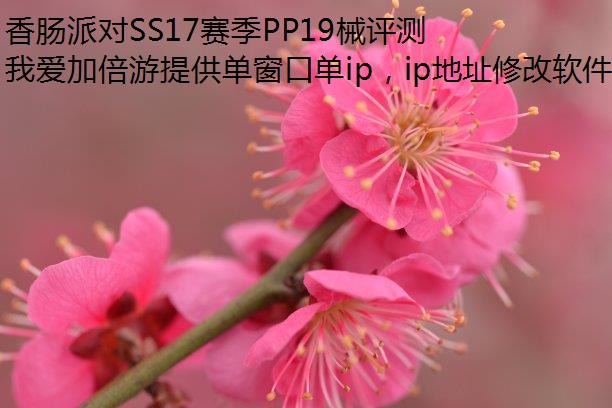 㳦ɶSS17PP19е